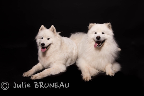 Photographe bébé Orléans, Photographe Grossesse Orléans, Studio Photo Orléans