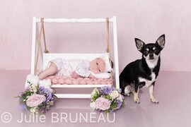 Photographe bébé Orléans, Photographe Grossesse Orléans, Studio Photo Orléans