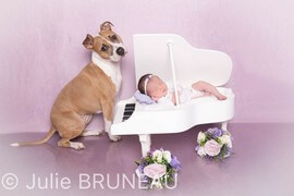 Photographe bébé Orléans, Photographe Grossesse Orléans, Studio Photo Orléans