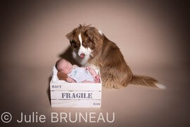 Photographe bébé Orléans, Photographe Grossesse Orléans, Studio Photo Orléans