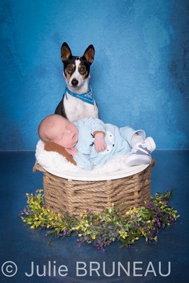 Photographe bébé Orléans, Photographe Grossesse Orléans, Studio Photo Orléans