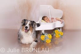 Photographe bébé Orléans, Photographe Grossesse Orléans, Studio Photo Orléans