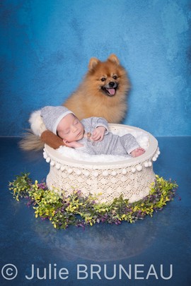 Photographe bébé Orléans, Photographe Grossesse Orléans, Studio Photo Orléans